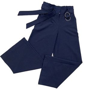 Super High Pleated Waist Wide Leg Pants in Slate Blue